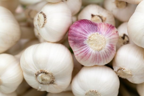 Raw Garlic